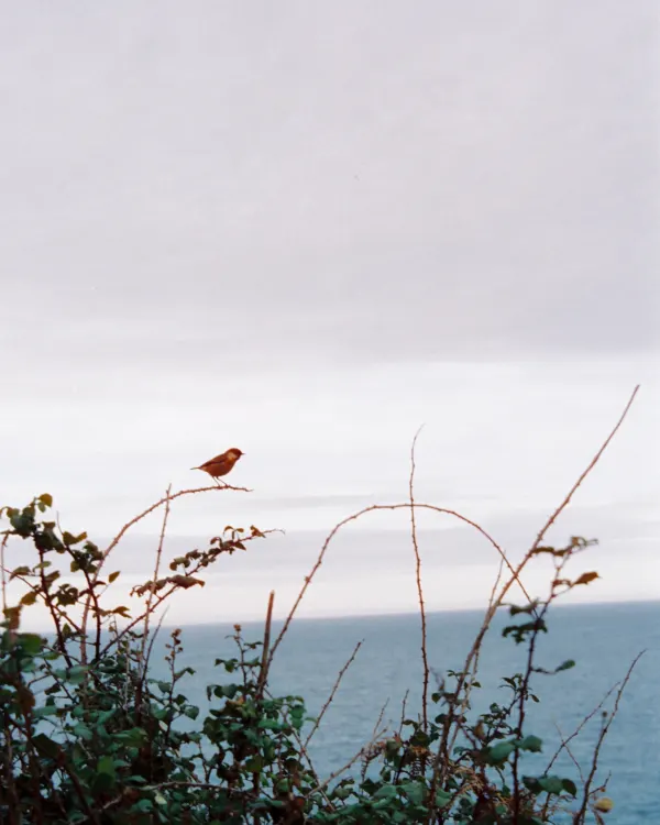 Photo photography 2