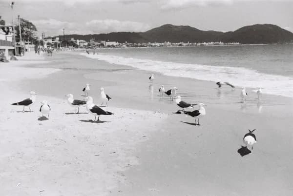 Photo photography 8