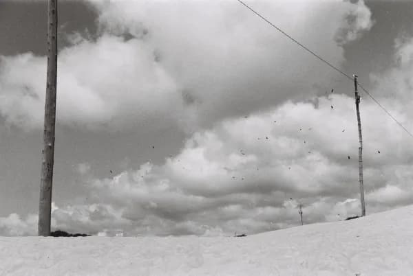 Photo photography 7