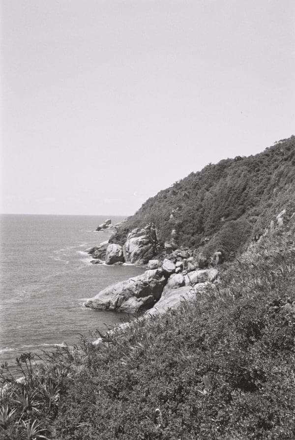 Recent work 5