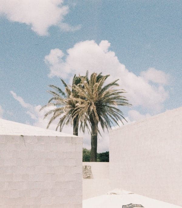 Featured work 3