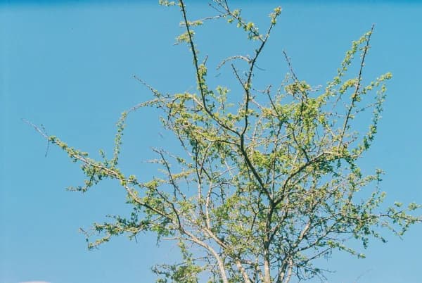 Photo photography 1
